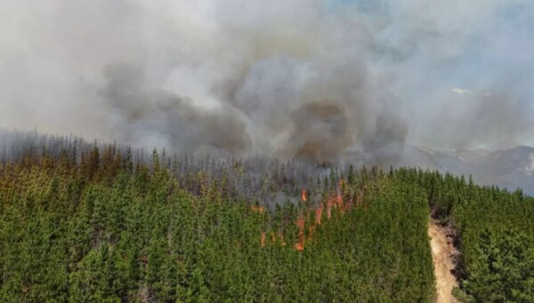 Forest Fire in Chubut Destroys Homes and Forces Evacuation of Hundreds