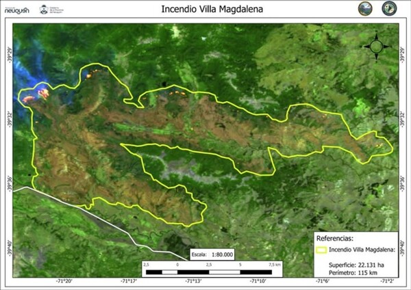 Fire in Lanín National Park Affects Large Area