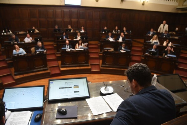 Сенат Мендосы одобрил разработку медного рудника PSJ Cobre Mendocino