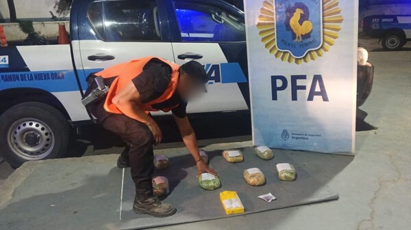 Drug Trafficking Ring Dismantled in Salta