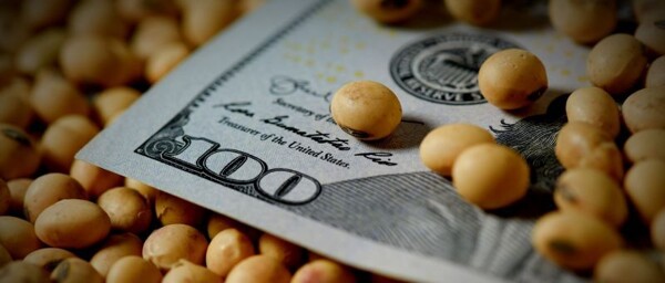 ЦБАР накапливает 1857 миллионов долларов США в мае для кошелька Сантьяго Баусили