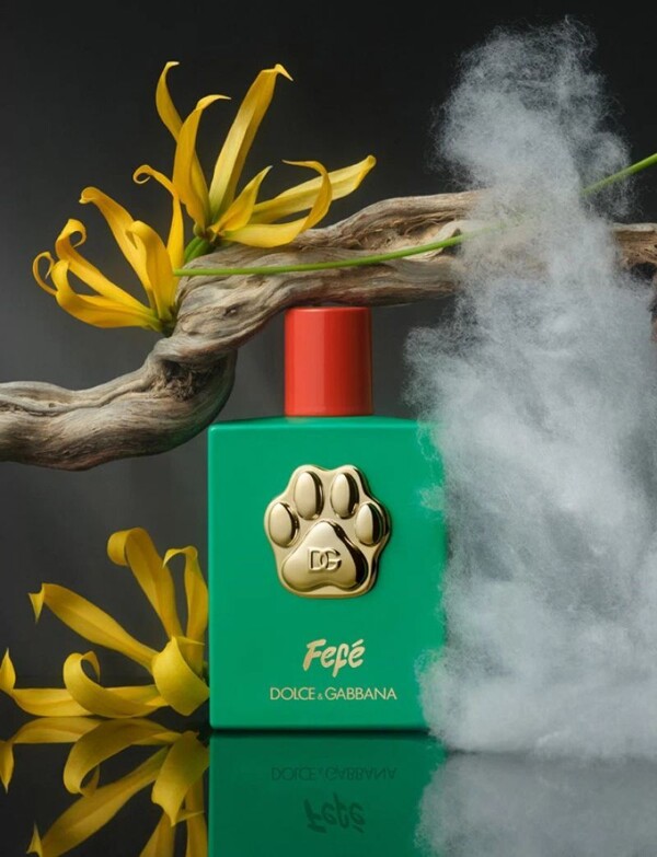 Dolce&Gabbana запускается в Аргентине с парфюмом для домашних животных