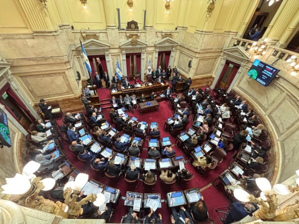 Senate debates the Ficha Limpia project