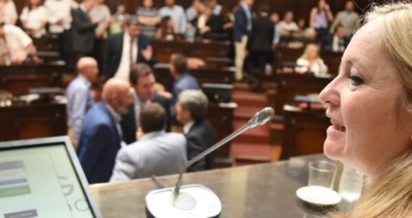 Сенат Мендосы решает судьбу четырех горнодобывающих проектов