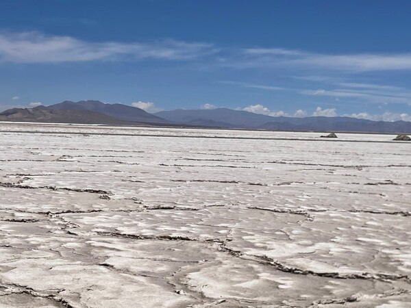 Argentina Lithium & Energy Corp Reports Positive Results