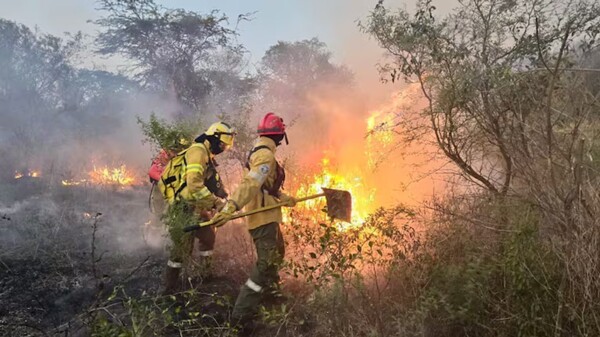 Fires Under Control in Corrientes Province