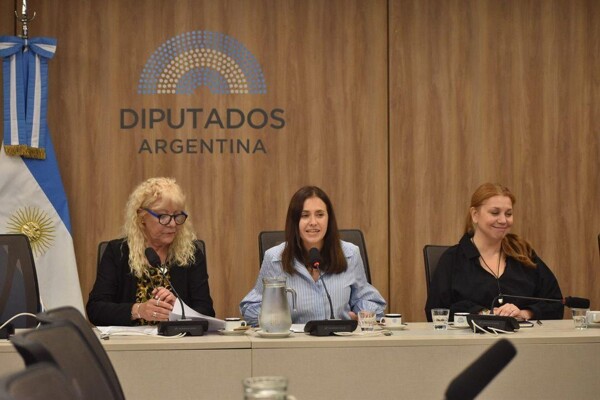 科尔多瓦议员担任市政事务委员会主席