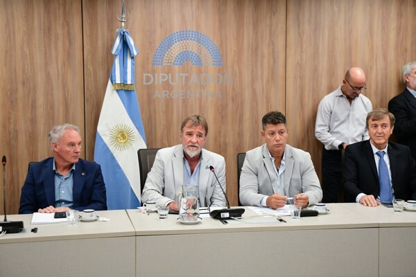 Аргентина: Палата депутатов назначает руководителей комитетов