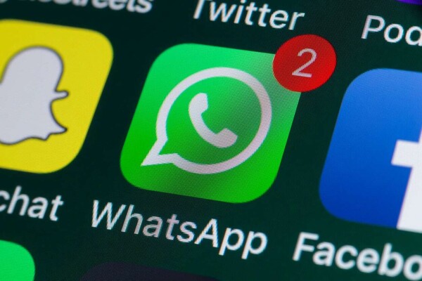 Режим осень WhatsApp: Как настроить свое приложение на осень