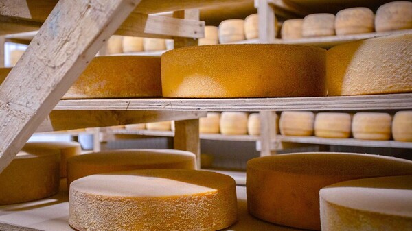 7-я Фиеста дель Кесо Тандильеро: праздник сыра в сердце Аргентины