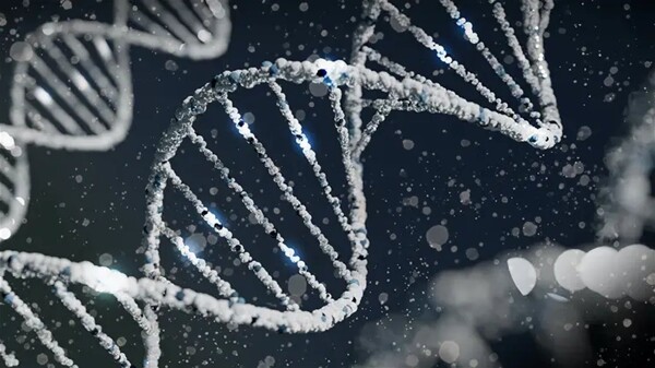 Profluent запускает OpenCRISPR для инноваций в генетическом редактировании