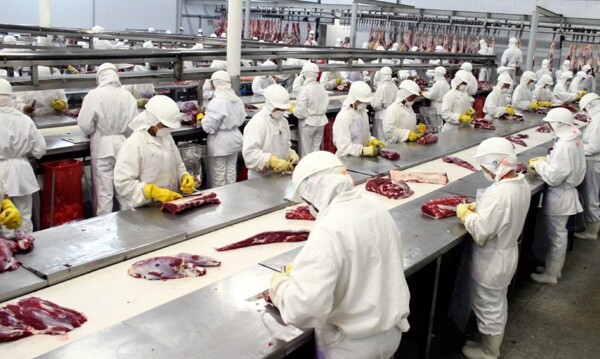 Работники мясной промышленности Аргентины достигли нового соглашения о повышении зарплаты