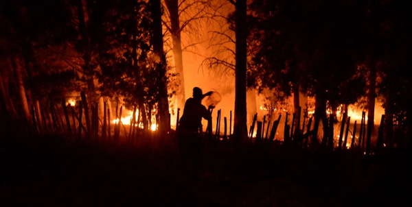 Alarming Wildfire Situation in El Bolsón