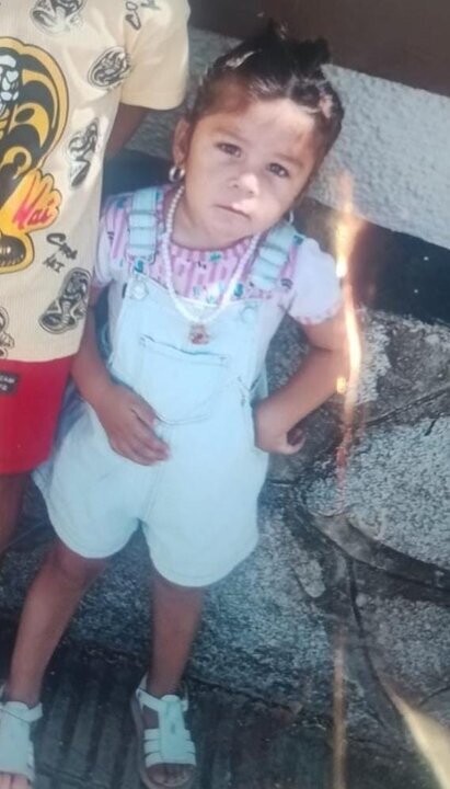Large-scale search operation launched for 2-year-old girl in Argentina