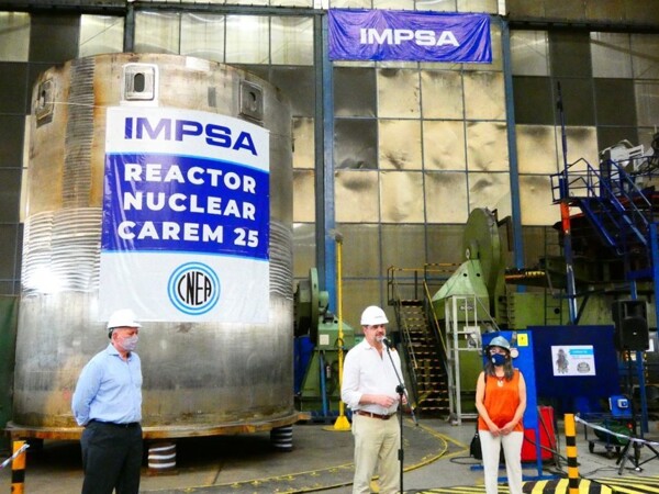 Privatization of IMPSA: A Critical Turning Point