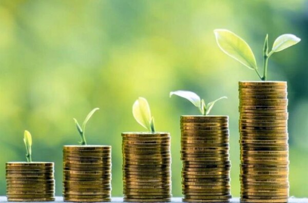 Рейтинги ESG и их тесная связь со стоимостью компании