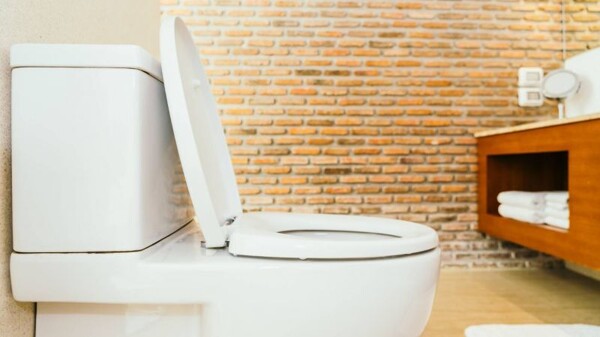 Эффективные методы для поддержания чистоты вашего туалета