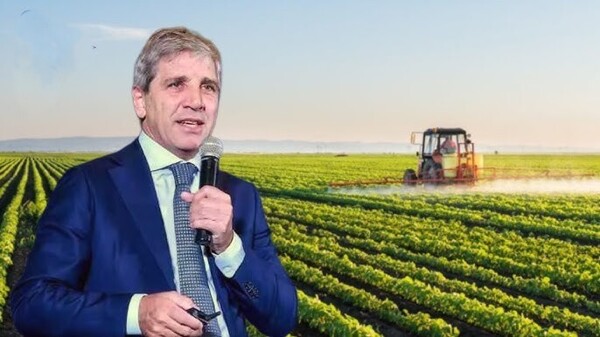 Argentina Government Lowers Grain Export Duties