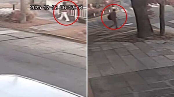 阿根廷街头发生凶杀案