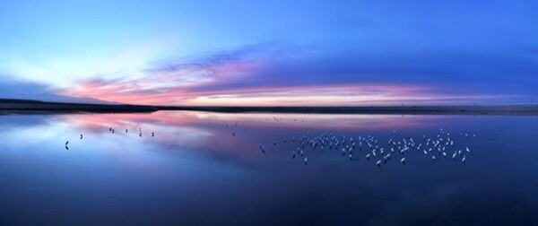 11/11: День исполнения желаний и духовной гармонии