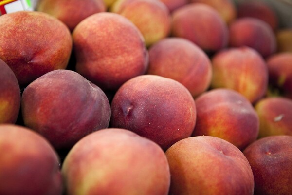 National Peach Festival in Mercedes