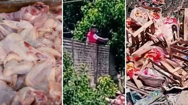 Merlo Municipality Closes Poultry Company for Environmental Pollution