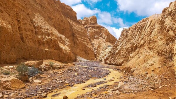 Exploring the Natural Wonder of Cañón del Ocre