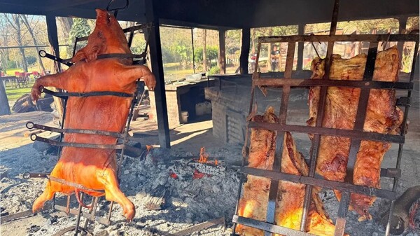 День на природе с неограниченным барбекю в аргентинском Томас-Хофре