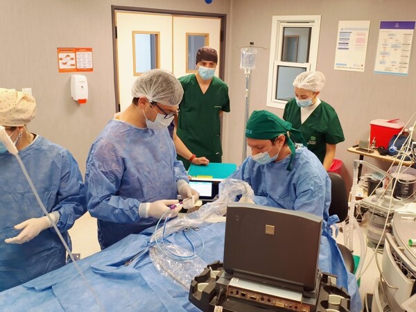 В Кордобе впервые провели микроволновую абляцию щитовидной железы