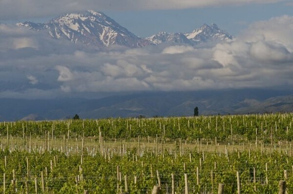 Валле-Уко: сердце приключений и вина в Мендосе