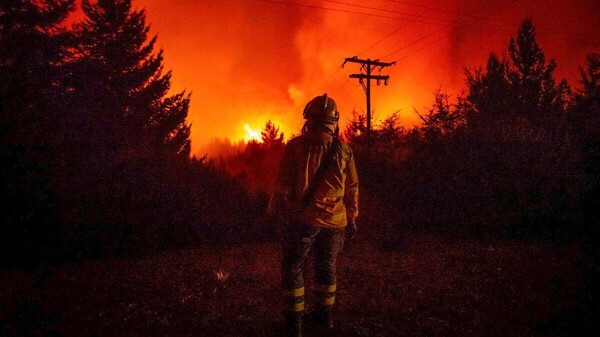 Fires in Patagonia: Greenpeace Warns