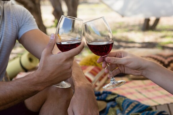 Wine Tourism Experience in Mendoza