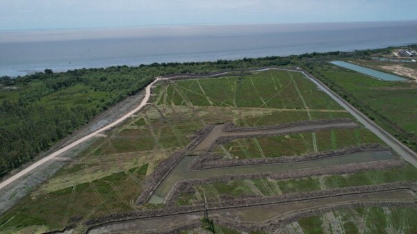 贝拉萨特吉生态项目争议