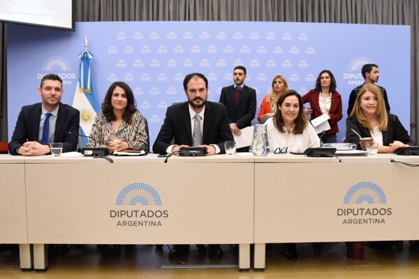 Дебаты в Аргентинском конгрессе по закону Ley de Basesy Puntos de Partida para la Libertad de los Argentinos