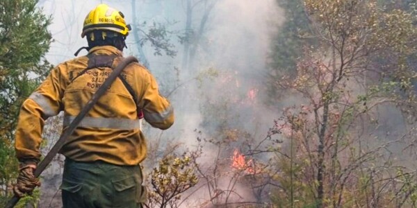 Адвокат подал заявление из-за пожаров на горе Отто в Барилоче