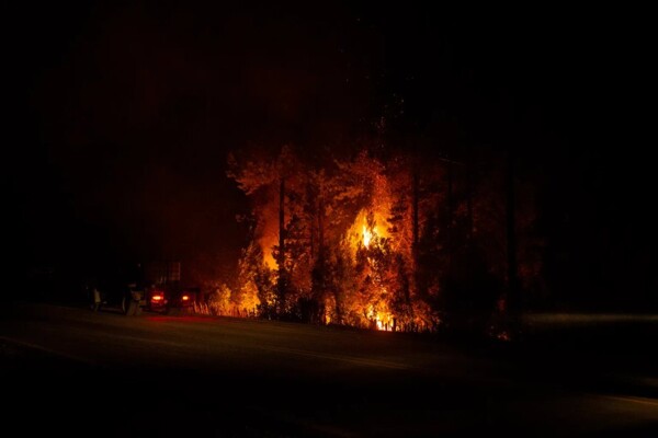 Wildfire threatens El Bolsón and causes evacuations