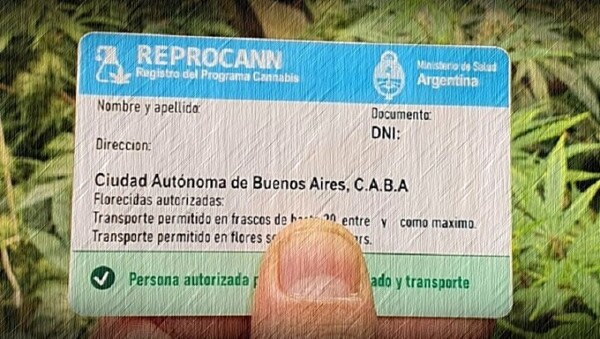 Неопределенность будущего реестра пользователей и выращивающих коноплю в медицинских целях в Аргентине