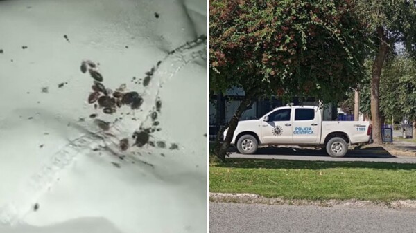 Chubut nursing home shut down due to unsanitary conditions