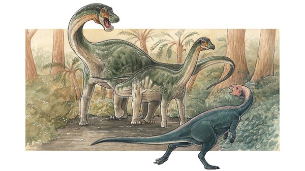 Descubren nueva especie de dinosaurio en Argentina