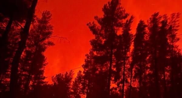 Cuatro causas abiertas en Chubut por sospecha de incendios intencionales